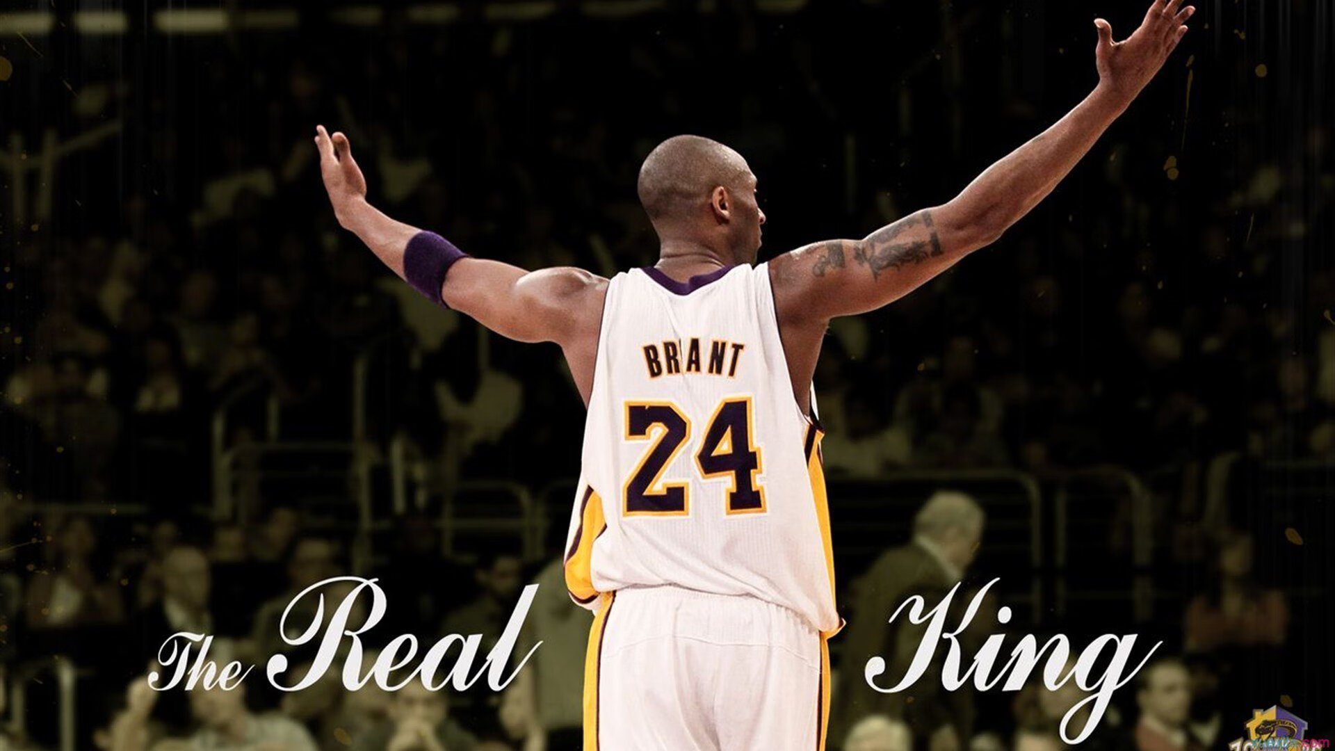 篮球公益课程走进乡村学校，篮球公益课进校园方案